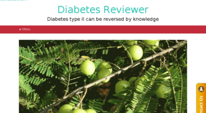 diabetesreviewer.com