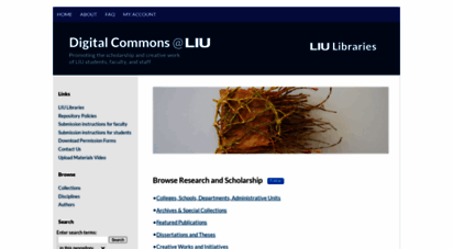 digitalcommons.liu.edu