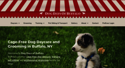 dogdaysofbuffalo.com