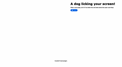 dogfront.com