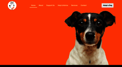 dogshome.net