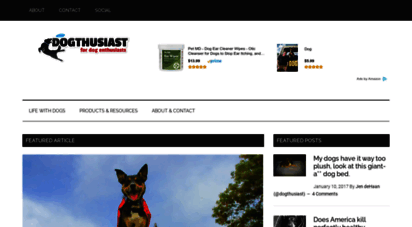 dogthusiast.com