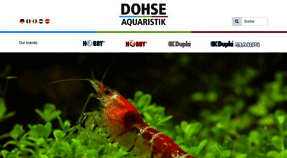 dohse-aquaristik.de