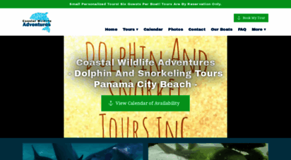dolphinandsnorkeltours.com