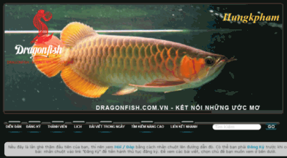 dragonfish.com.vn