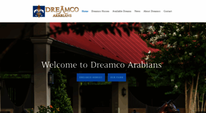 dreamcoarabians.com