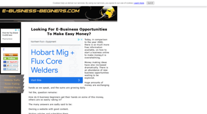 e-business-beginers.com