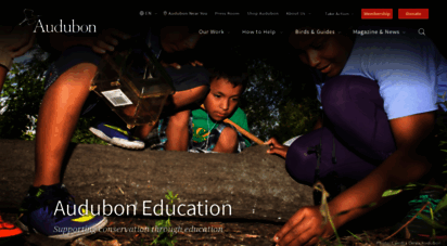 education.audubon.org