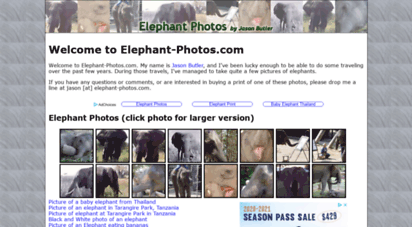 elephant-photos.com