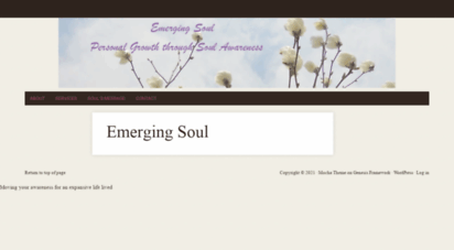 emergingsoul.co