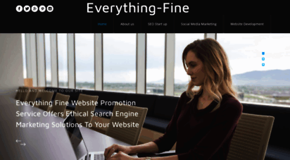 everything-fine.com
