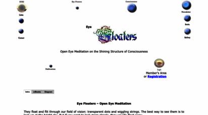 eye-floaters.info