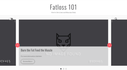 fatloss101.net
