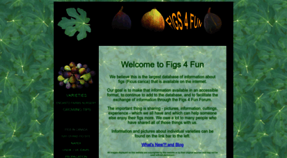 figs4fun.com