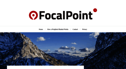 focalpointx.com