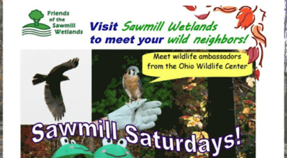 friendsofthesawmillwetlands.org