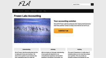 frozenlakeaccounting.com