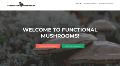 functionalmushrooms.com
