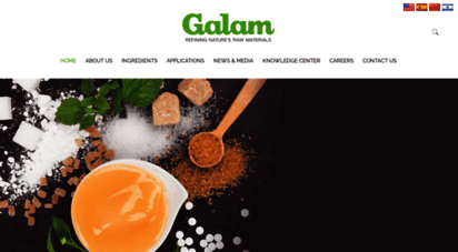 galamgroup.com