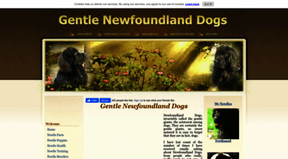 gentle-newfoundland-dogs.com