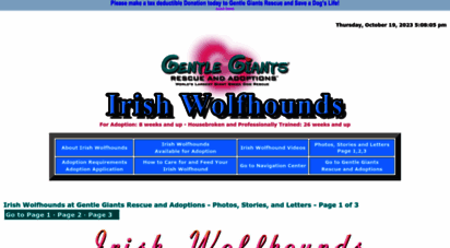 gentlegiantsrescue-irish-wolfhounds.com