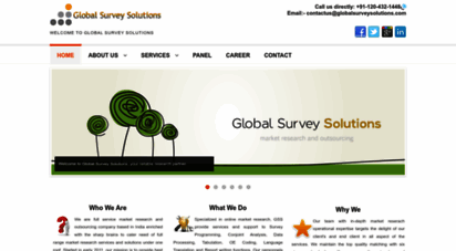 globalsurveysolutions.com