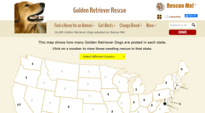 golden retriever rescue me