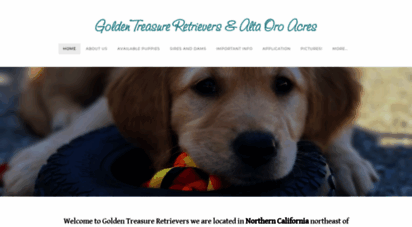 goldentreasureretrievers.com