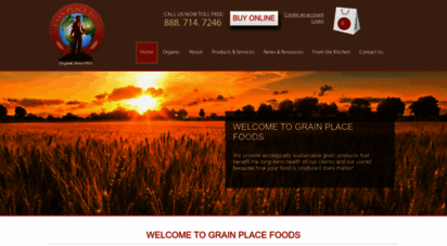 grainplacefoods.com