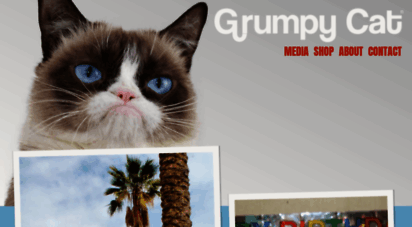 grumpycats.com