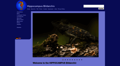 hippocampus-bildarchiv.com