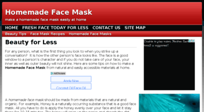 homemadefacemask.org
