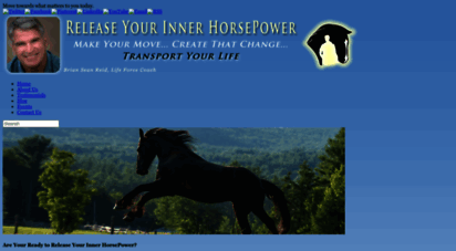 horsesknowthewayhome.net