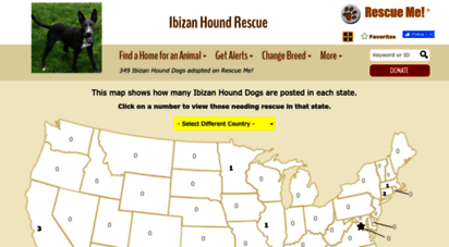 ibizanhound.rescueme.org