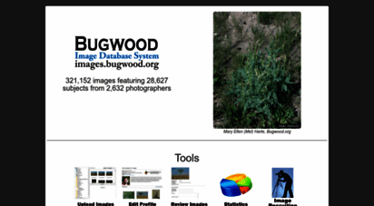 images.bugwood.org