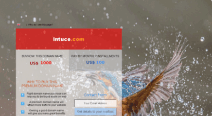 intuce.com