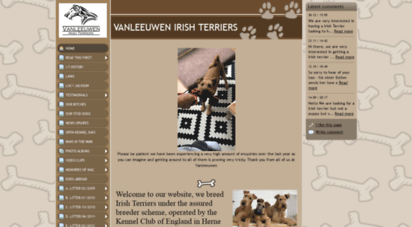 irish-terriers.info