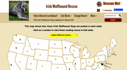 irishwolfhound.rescueme.org