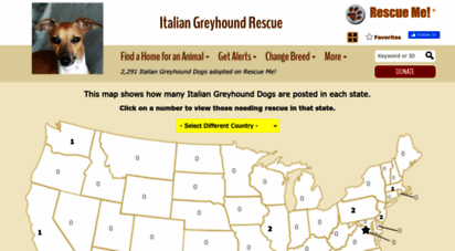 italiangreyhound.rescueme.org