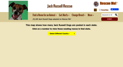 jackrussell.rescueme.org