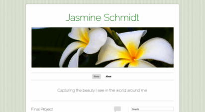 jasmineschmidt.wordpress.com