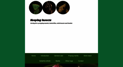 keepinginsects.com