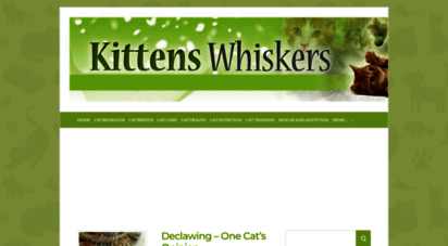 kittenswhiskers.com