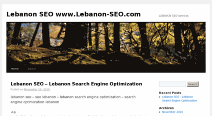 lebanonsearchengineoptimization.wordpress.com