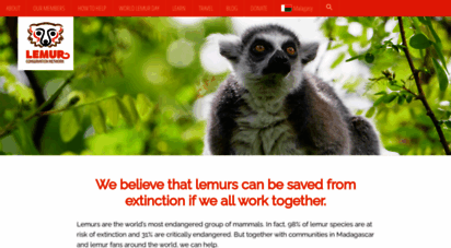 lemurconservationnetwork.org