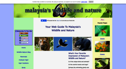 malaysia-wildlife-and-nature.com