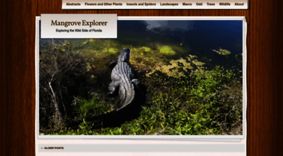 mangroveexplorer.wordpress.com