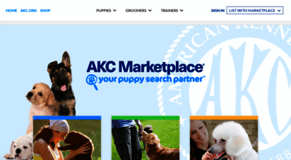 akc marketplace puppies