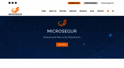 microsegur.com