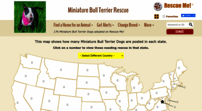 miniaturebullterrier.rescueme.org